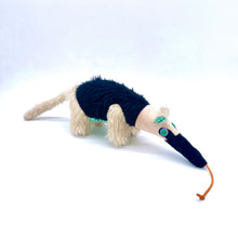 Load image into Gallery viewer, Anteater