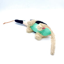 Load image into Gallery viewer, Anteater