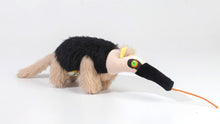 Load image into Gallery viewer, Anteater