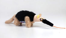 Load image into Gallery viewer, Peluche oso hormiguero NOMELLAMO animales de Costa Rica