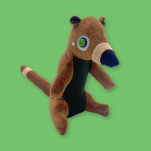 Load image into Gallery viewer, Coati