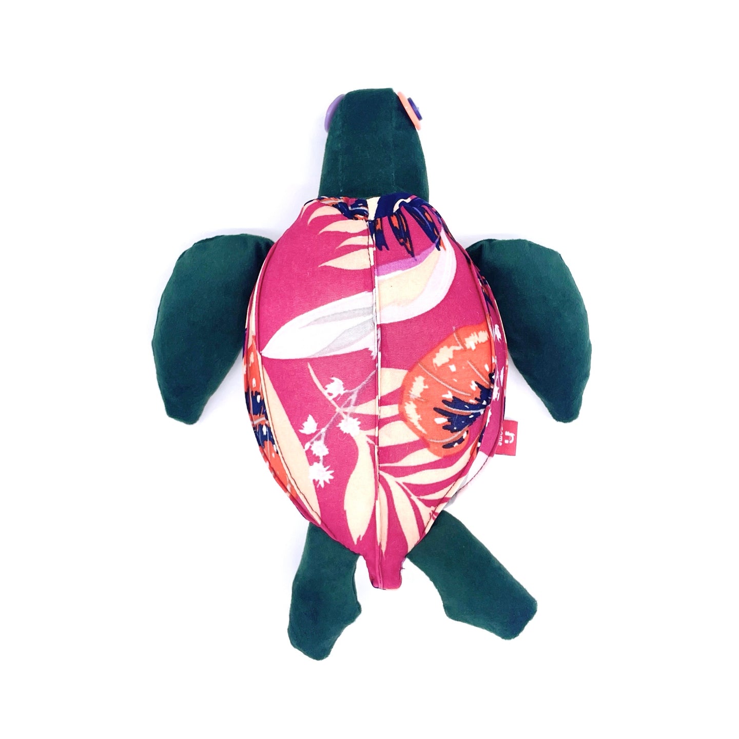 Tortuga  Baula