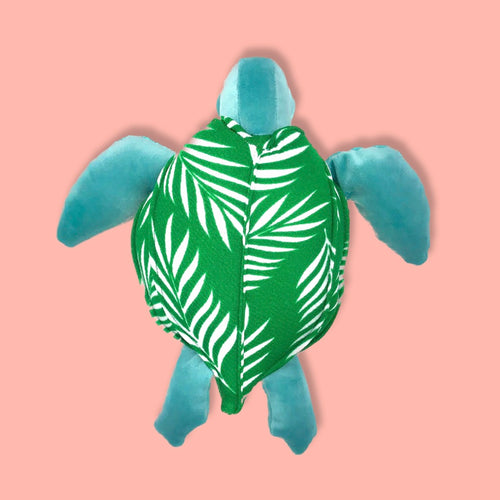 Tortuga  Baula